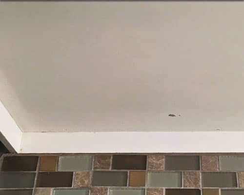 Range Hood Area after cleaning