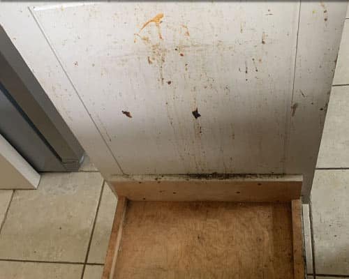 Trash Can Cabinet before cleaning